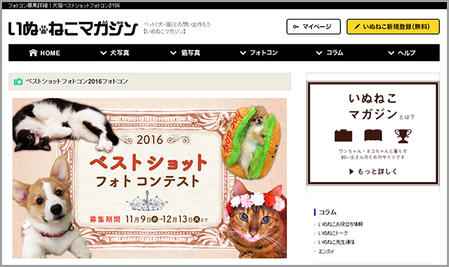 犬猫ベストショットフォトコン2016|今年一番のベストショットを募集中!