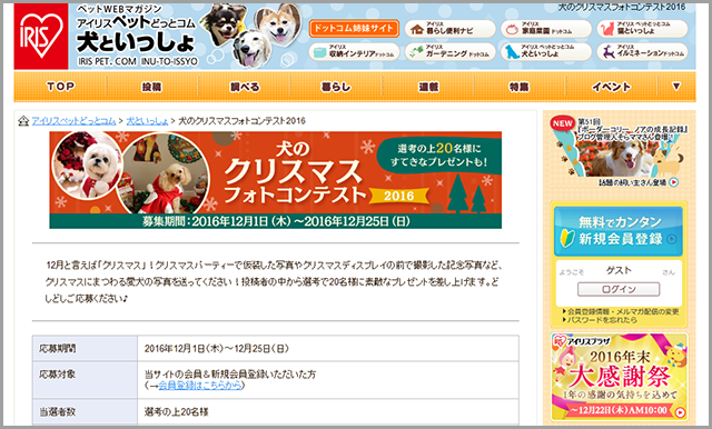 犬のクリスマスフォトコンテスト2016|犬といっしょ|アイリスペットどっとコム