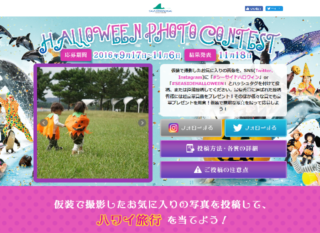 https://www-stg.koubo.co.jp/web/3/detail024952.html (2016年11月6日〆切)