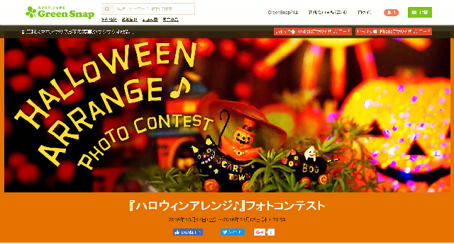 https://www-stg.koubo.co.jp/web/3/detail025167.html (2016年11月3日〆切)