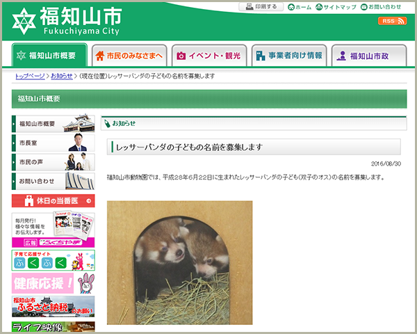 レッサーパンダ|福知山市