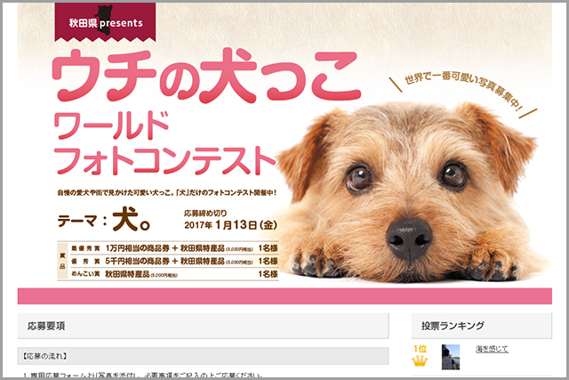 応募要項|ウチの犬っこワールドフォトコンテスト